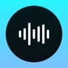 Depict :: Audio Notes logo
