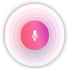Voice Recorder : Voice Notes logo