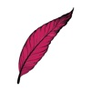 Transcribe:Live Speech to Text logo