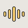 Voice Recorder & Audio Notes · Igor Timarsha logo