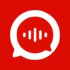 Video Voice Over logo