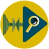 Audio and Video Inspector logo