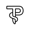 AI Medical Scribe : Pallin logo