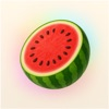 MelonNote - AI Note Taker logo