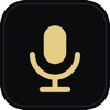 Dear Diary: Voice Journal logo