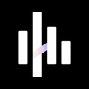 Auday - All-Day Watch Recorder logo